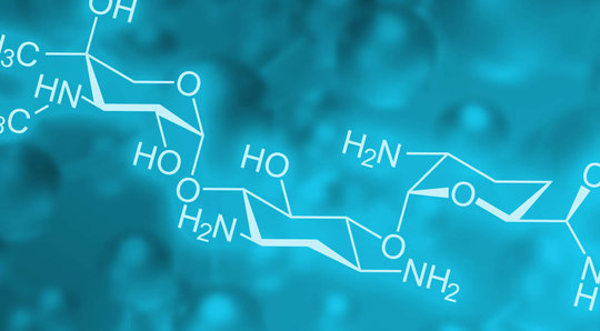 Les aminoglycosides