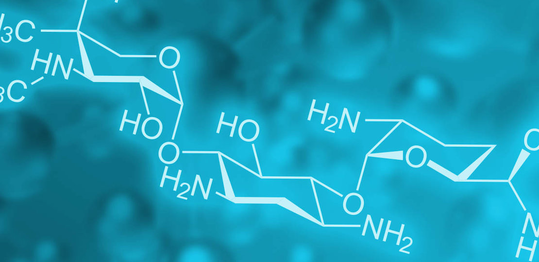 Les aminoglycosides