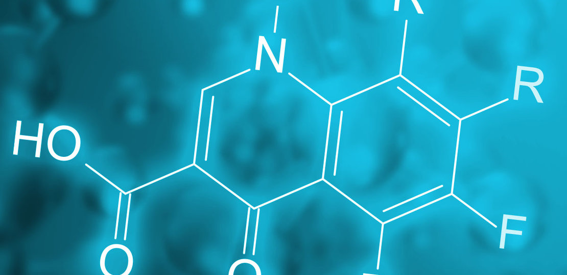 Les quinolones