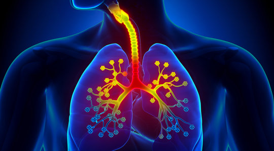 Testez vos connaissances sur la prise en charge d'une infection respiratoire!